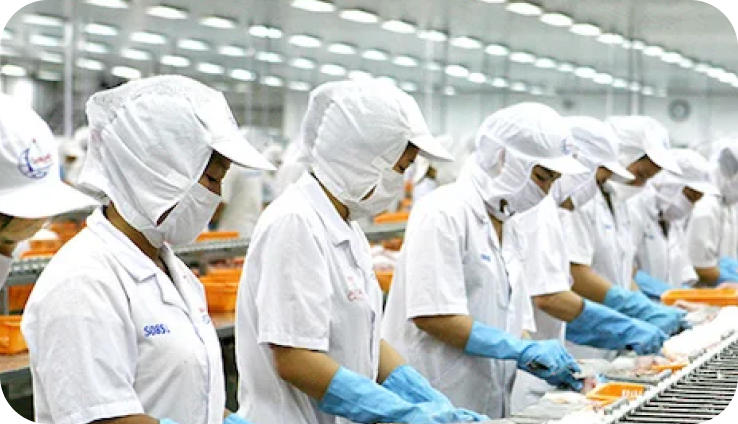 Tư vấn & triển khai giải pháp nhân sự linh hoạt
